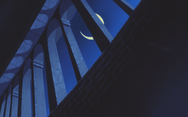 viprsr-121.gif