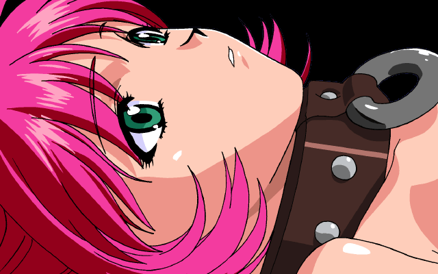 viprsr-211.gif