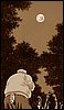 viprsr-037.gif