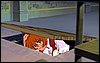 viprsr-087.gif