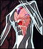 viprsr-141.gif