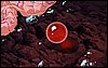 viprsr-145.gif