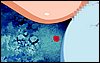 viprsr-184.gif