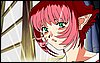 viprsr-228.gif