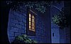 viprsr-248.gif